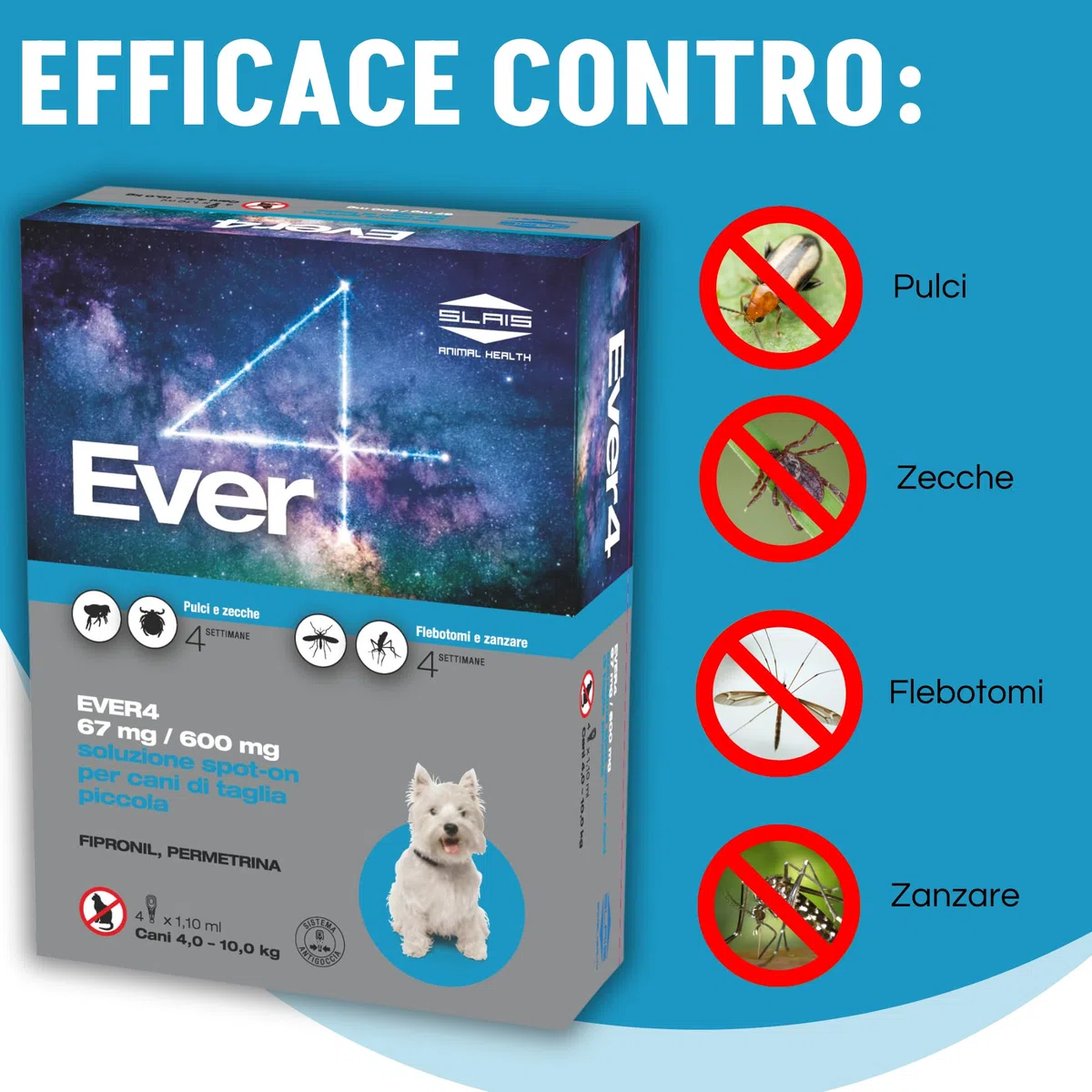Ever 4 Pipette Antiparassitario Cani S (4-10 KG) - Spot-On per Pulci, Zecche, Flebotomi, Zanzare - Protezione Completa - Fialetta Antipulci Cane