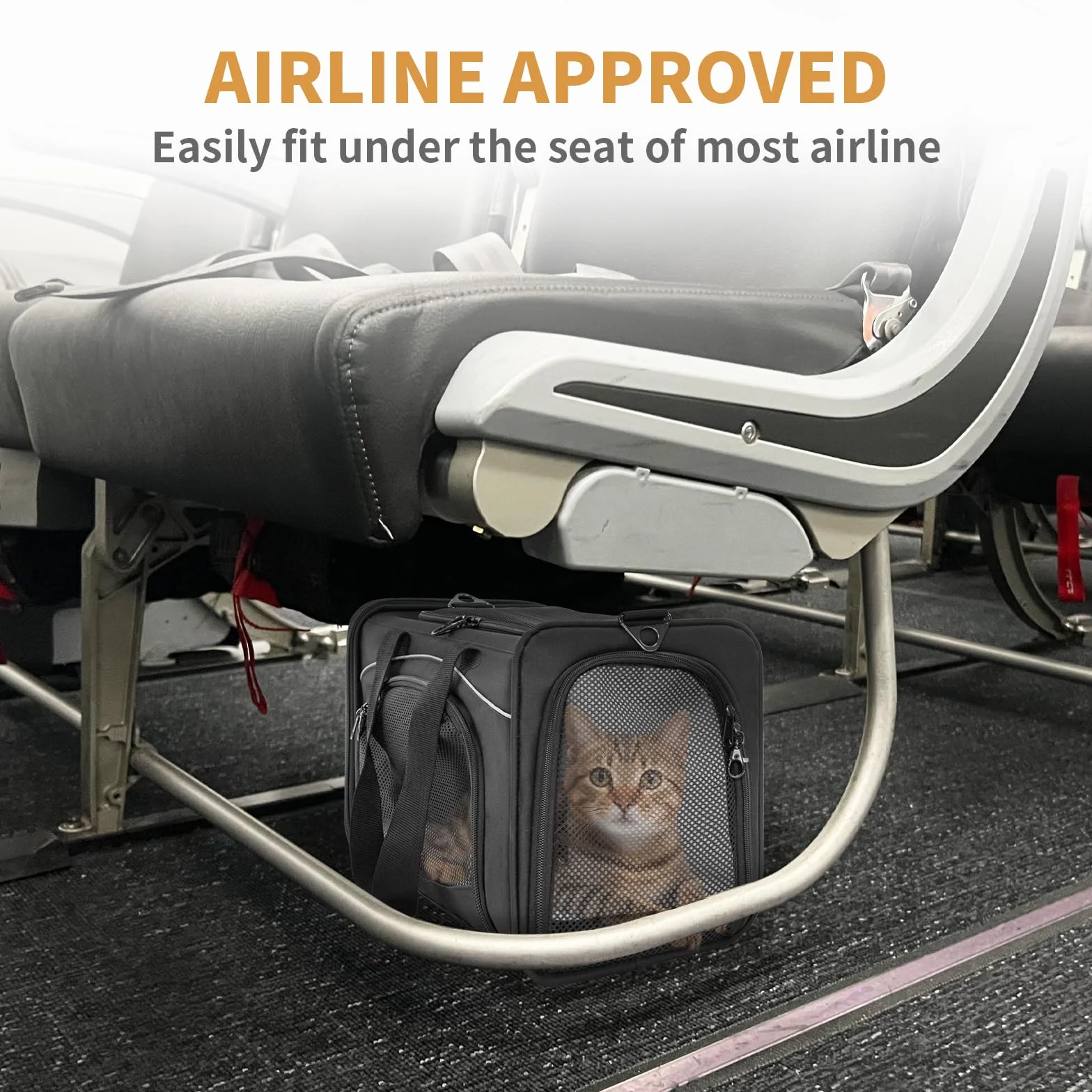 Petsfit Trasportino per Cani Lavabile, Trasportino Gatto Grande da Viaggio in auto/treno/aereo, S/Nero
