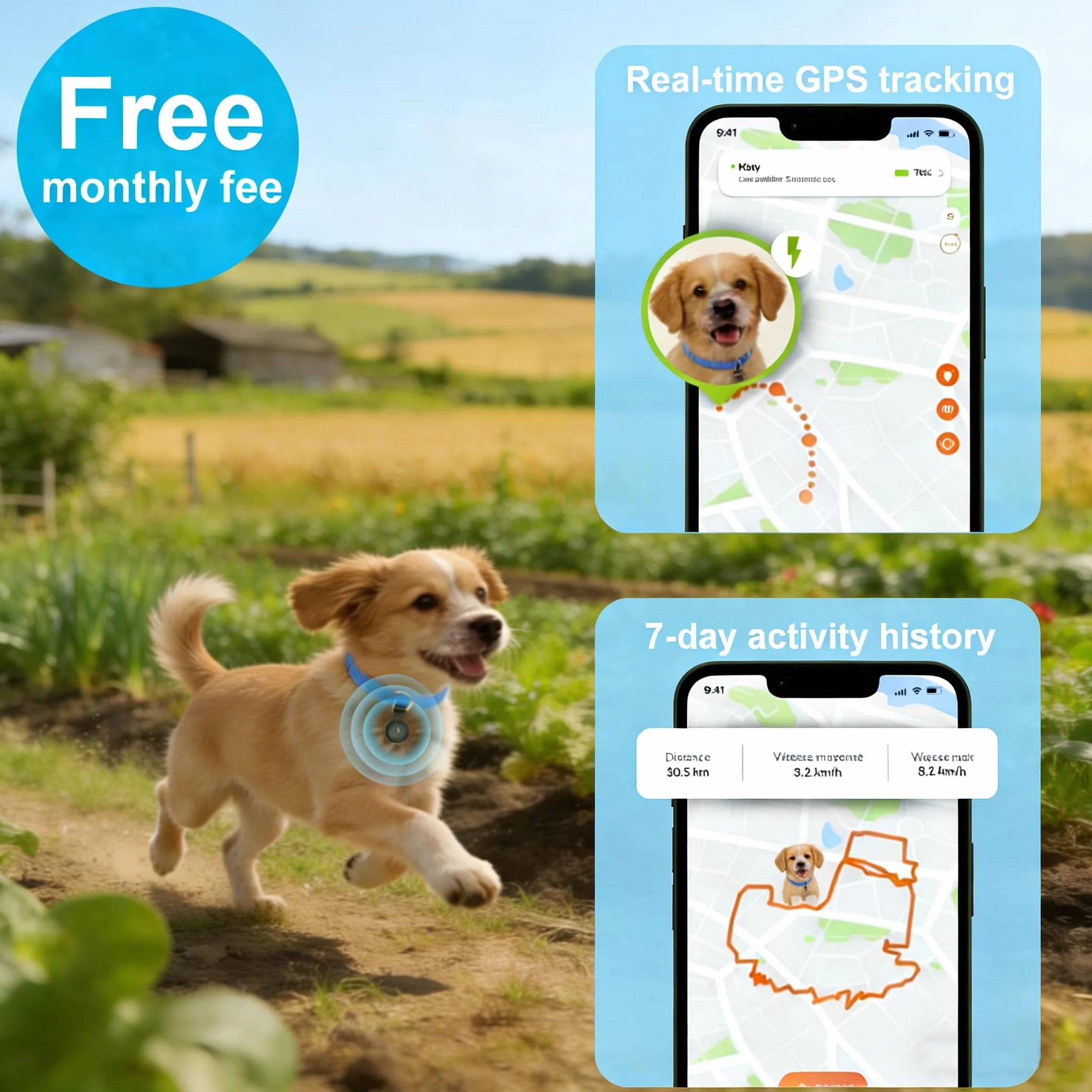 Collar GPS per Gatti e Cane, Tracciatore Senza Costi Mensili, Compatibile con iOS/Android, Tracciamento in Tempo Reale, Impermeabile IP67, Batteria a Lungo Durata, Nero