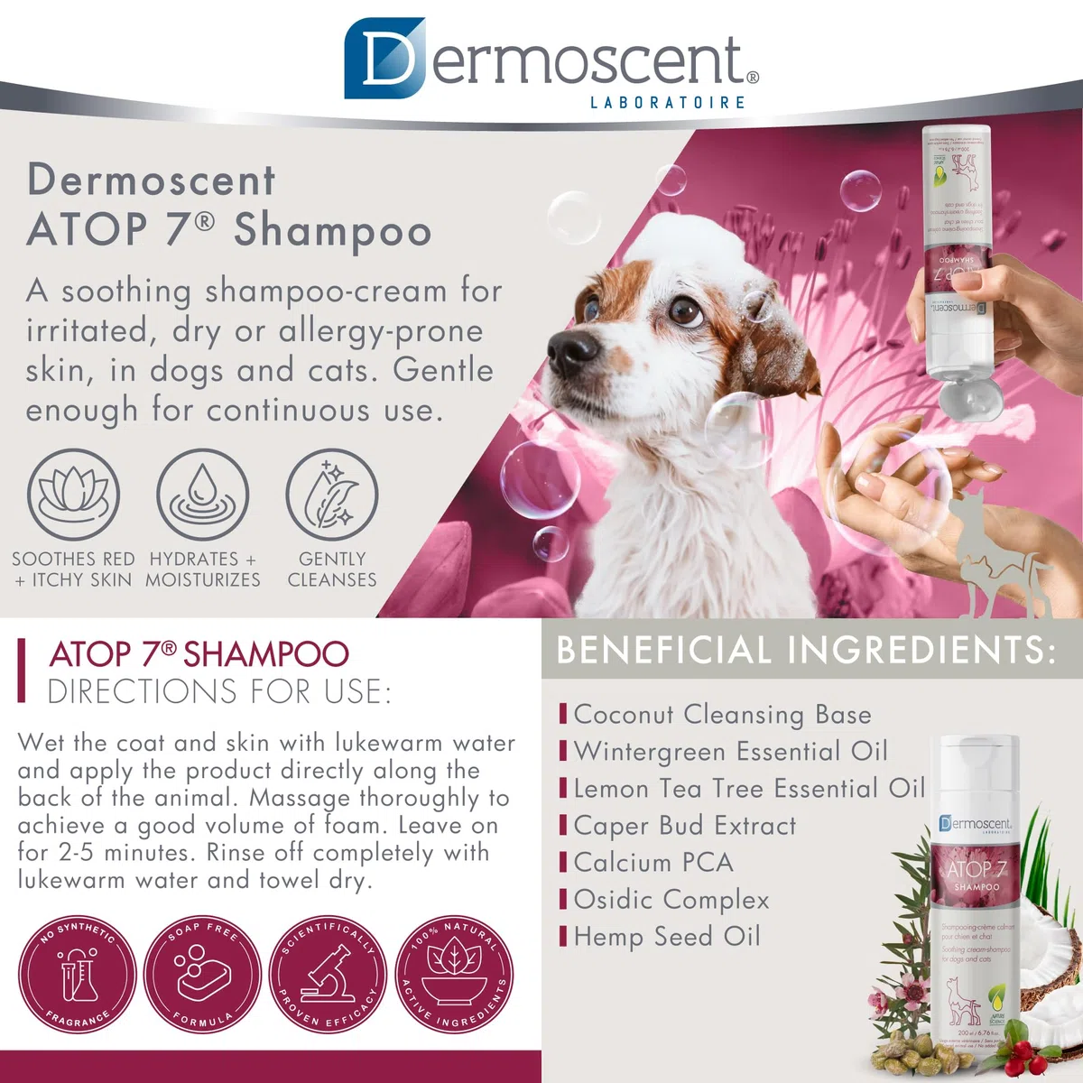 Dermoscent ATOP 7 Shampoo per cani e gatti - Allergie e sollievo dal prurito della pelle - Ingredienti naturali - Lenisce la dermatite e la pelle atopica - 200 ml