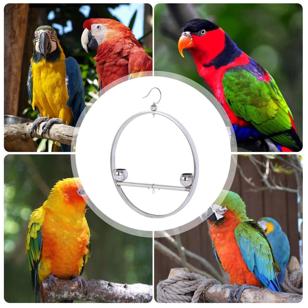 Altalena rotonda per pappagalli, in acciaio inox, supporto per addestramento per pappagalli e uccelli, accessori per animali domestici, antiruggine, con gancio, per gabbie, finestre, balconi
