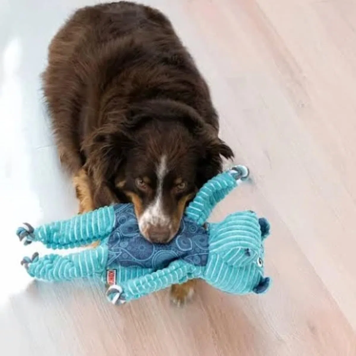 KONG Floppy Knots Jumbo XL ippopotamo giocattolo per cani – Peluche extra large con scheletro di corda annodata, doppio squittio, imbottitura minima, morbido e resistente per tiro, flopping e coccole