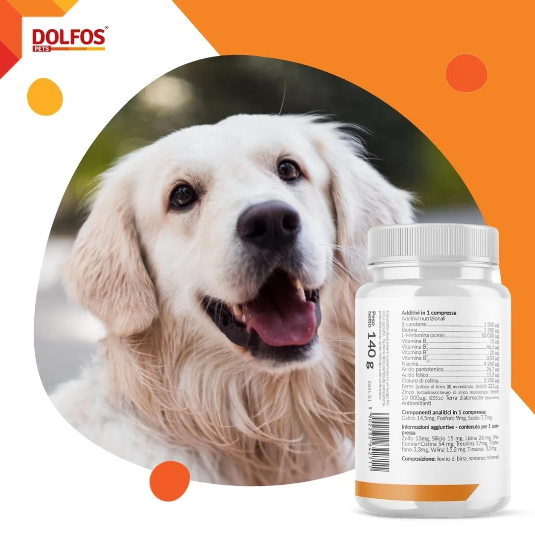 Dolvit Beta Carotene & Biotin Forte 90 CPR, Integratore Pelo Cane e Vista, Antiprurito per Cani e Supporto per Dermatite, Beta Carotene Integratore con Biotina per Pelle e Pelo, Rimedi Dermatite Cane