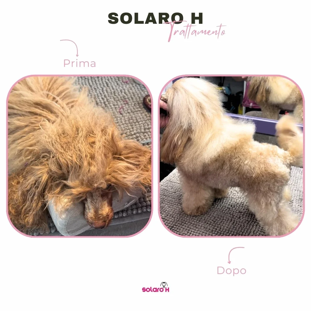 Solaro H | Sciogli Nodi per Cani e Gatti Super Flash Gold Istantaneo, Districante, Senza Risciacquo 250ml | Made in Italy