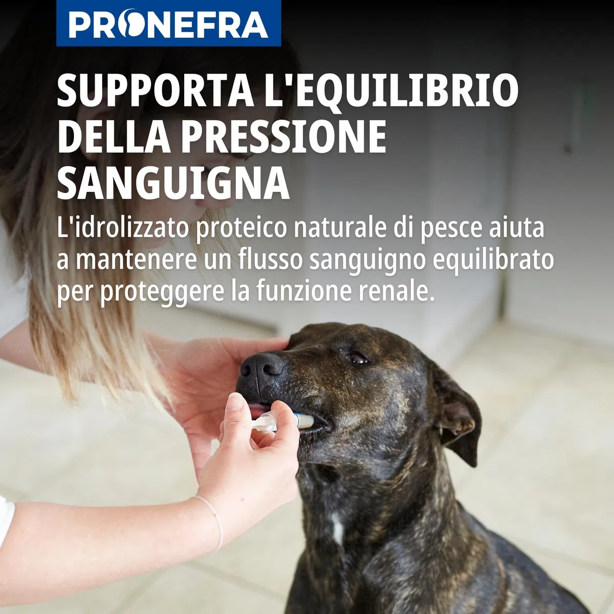 Virbac Pronefra - Mangime complementare dietetico per piccoli animali, confezione da 1 (1 x 60 ml)