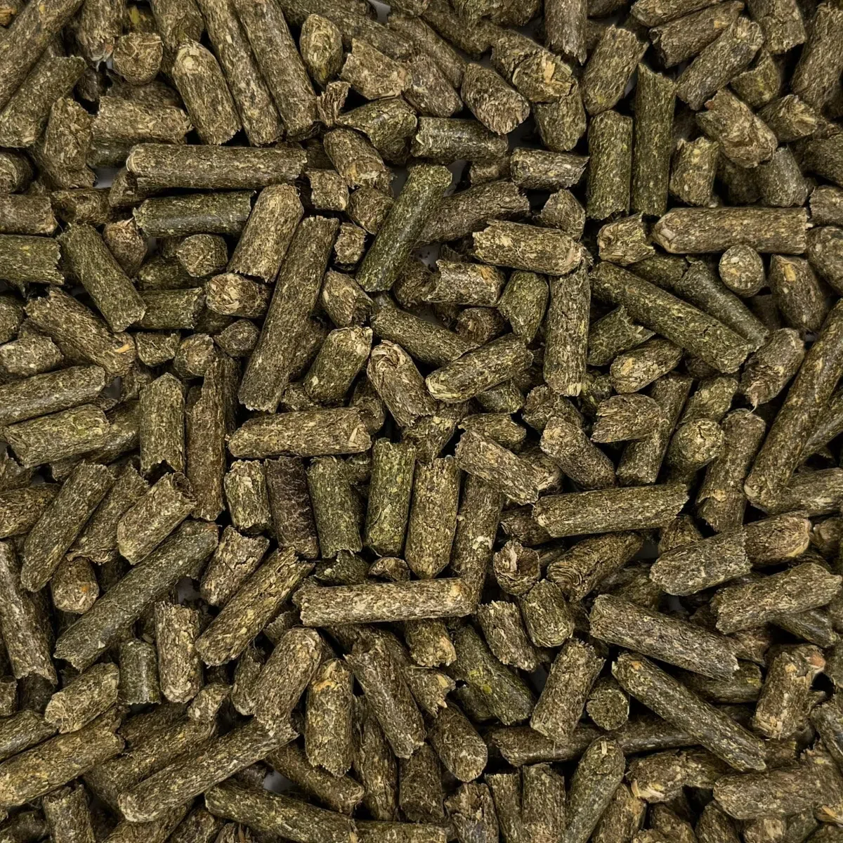 Agrarzone BIO Pellet di Erba Medica 20 kg - Sostituto Foraggio Ricco di Proteine & Fibre - Per Cavalli, Bovini, Pecore & Capre - 100% Naturale Austria Senza OGM