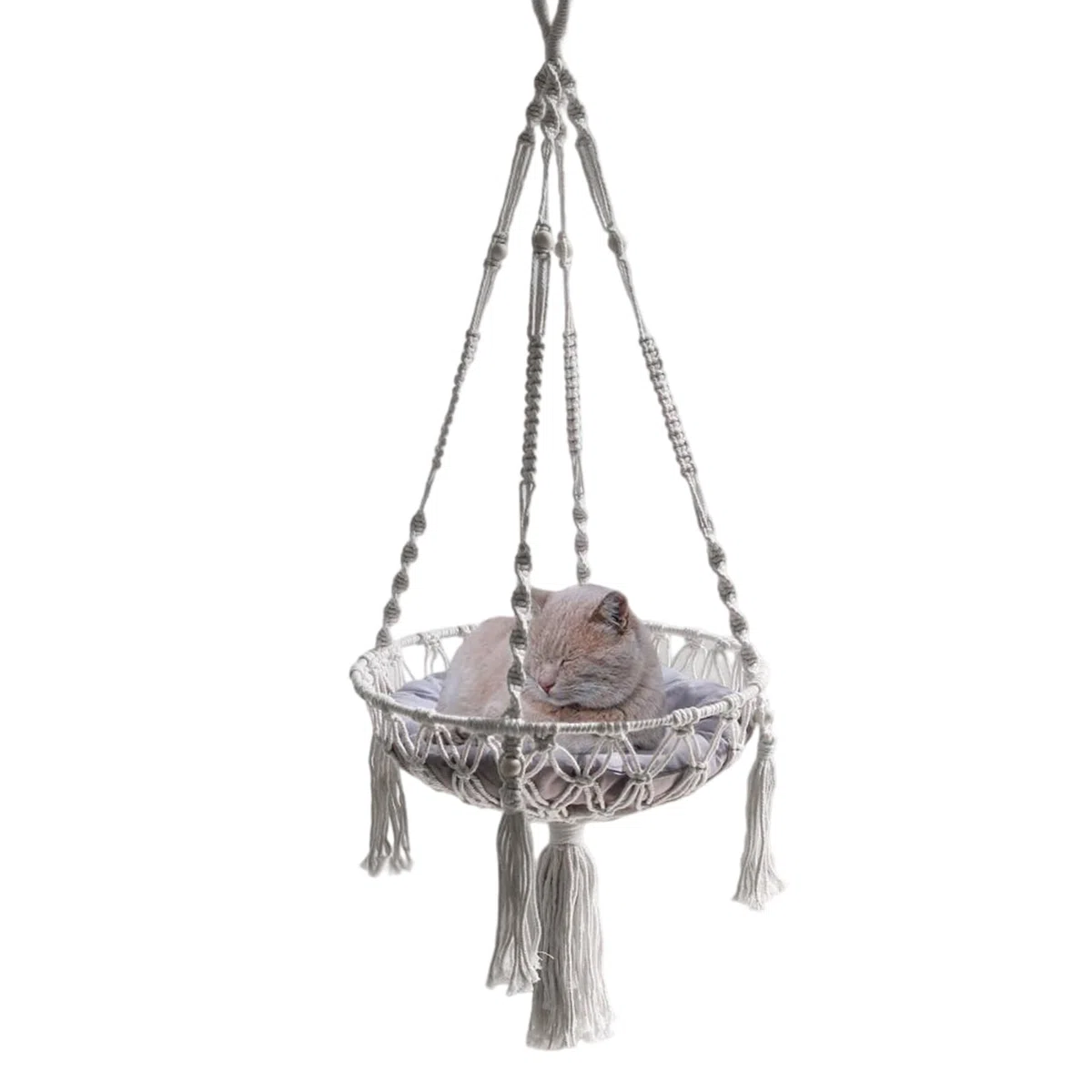 Amaca per gatti macramè, intrecciata, morbida struttura a corda, cuccia per gatti appesa a parete, altalena per gatti fatta a mano, cestino decorativo in stile bohémien, per piccoli animali domestici