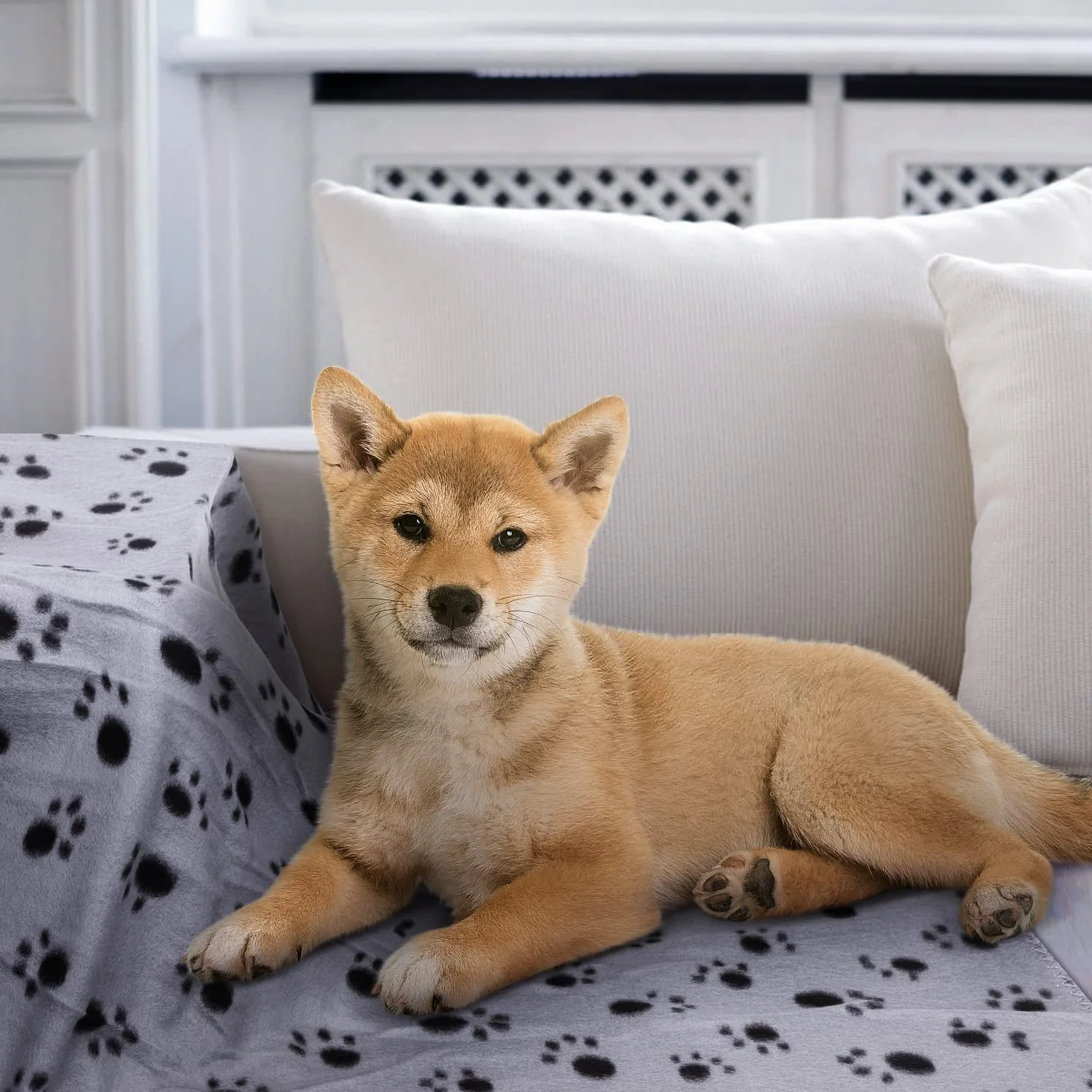Nobleza 6 Pezzi Morbida Coperta in Pile per Cani e Gatti Color Grigio Misure 75 * 75 cm