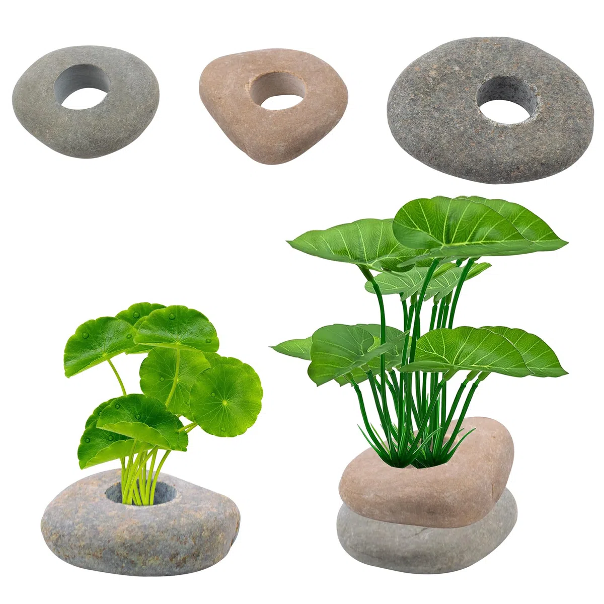 6 pesi per piante d'acquario, ancoraggi in pietra di ciottolo impediscono il nuoto per acquario, piante vive, decorazioni per acquari (diverse forme)