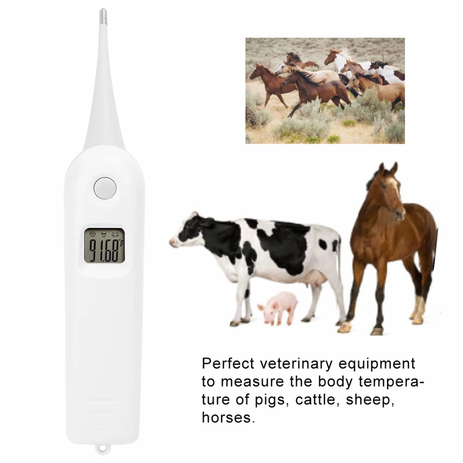 Tiiyee Termometro Per Animali Domestici, Digitale Domestici Gatti Acolari Cani Forniture Tecnologiche Veterinari Febbre Proprietari Cavalli Sonda Temperatura Flessibile Con Punta Tonda Impermeabile