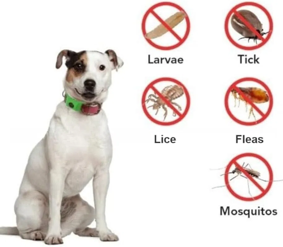 Acquality Pets Collare Antiparassitario 2.0 / Acqualitypets Ciondolo Antiparassitario