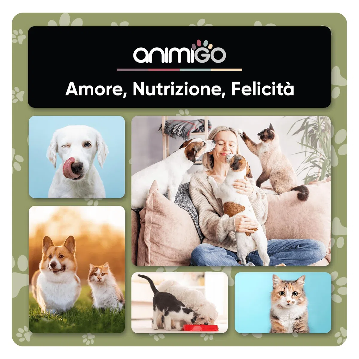 Spray Antiprurito per Dermatite Cane & Gatto 250ml, Spray Dermatite Cane Prurito, Rimedio Naturale per Prurito Cane e Gatto con Aloe Vera e Tea Tree Oil, Spray Antiprurito per Cani e Gatti Naturale
