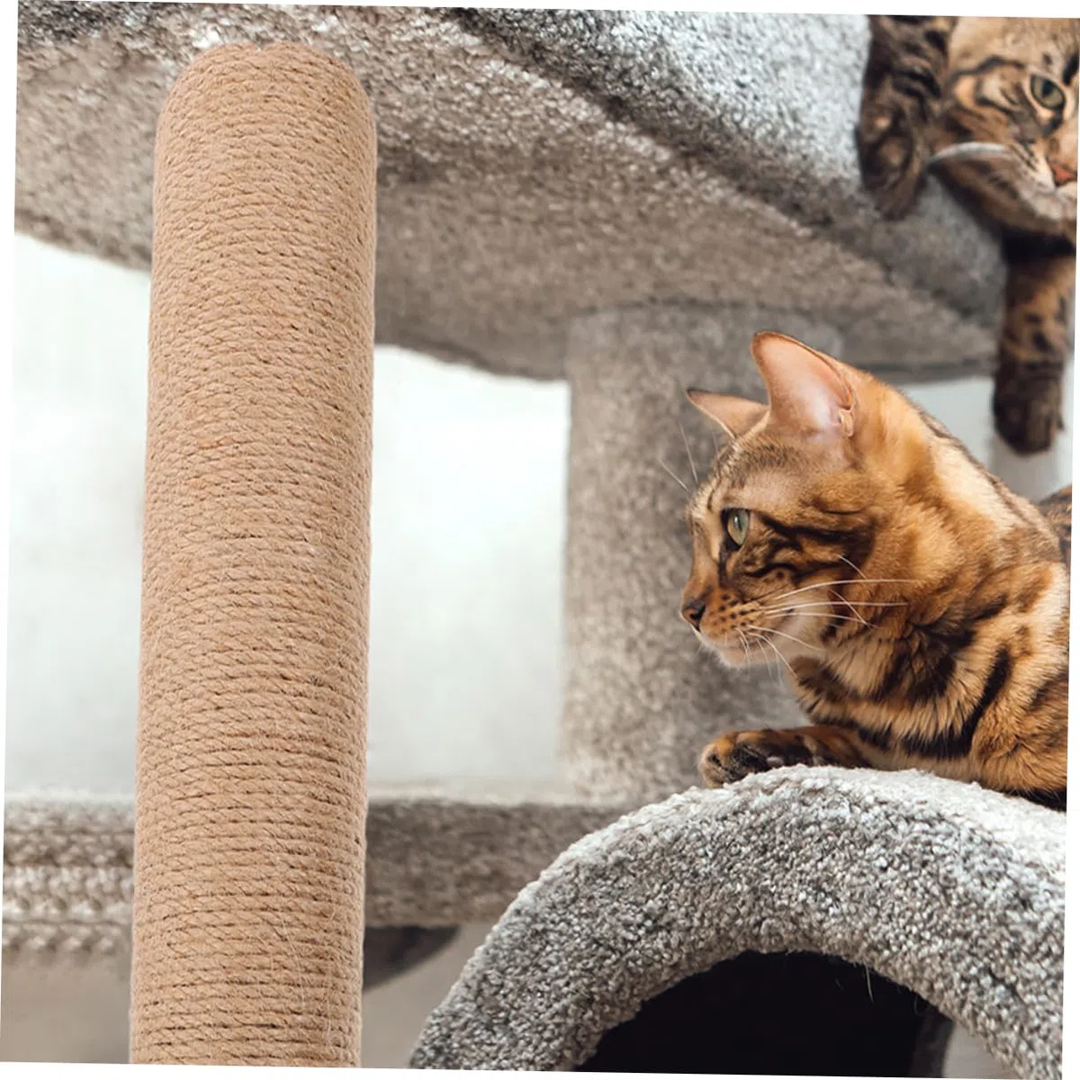 Abaodam Tiragraffi Ricambio Colonne in Sisal e ABS per Gatti 2 Unitá, Resistente e Salvaspazio, Come Sostituzione per Graffi Indoor Proteggendo Mobili