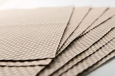 Carta Bulinata per Gabbie ESPOSIZIONE 2GR 33x14,5 cm, 500 Fogli, Alta Assorbenza