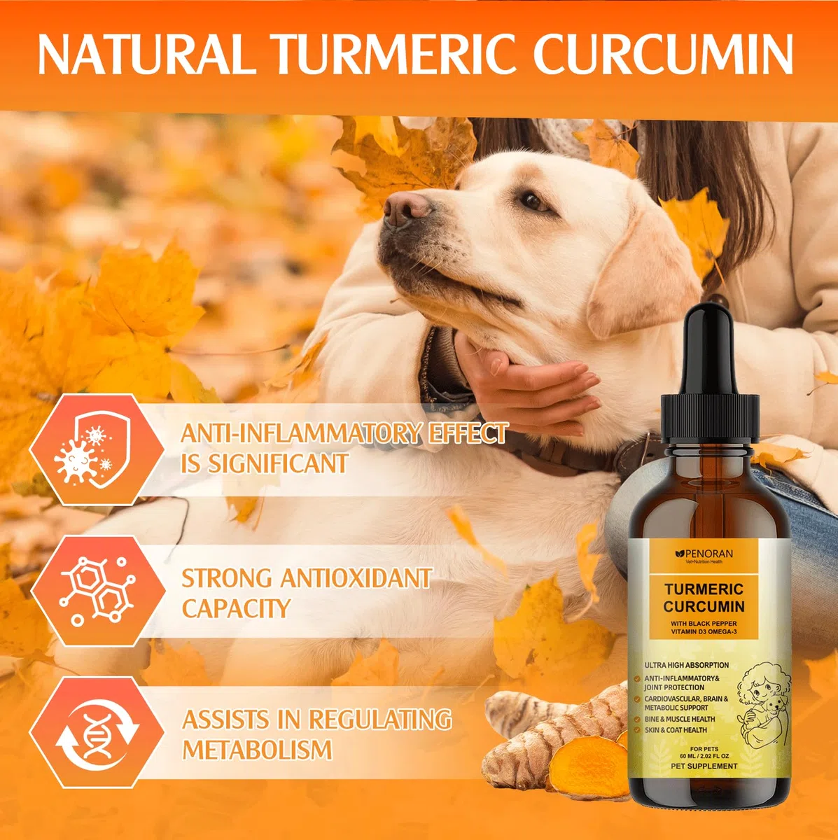 Gocce di curcumina e curcuma per cani anziani e lavoratori: Mobilità e flessibilità articolari, recupero dal dolore, digestivo, cervello, fegato, ossa, muscoli, pelle, pelo - migliore assorbimento