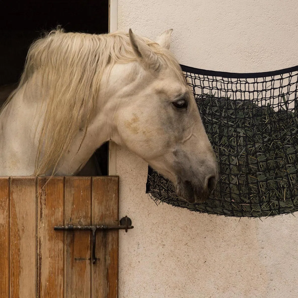 Rete Da Fieno, Rete Da Fieno Per Cavalli, 160*100 cm Rete Per Fieno Cavall, Rete Per Fieno A Maglie Strette Estremamente Resistente Agli Strappi, Per Cavalli, Pecore E Bovini(nero)