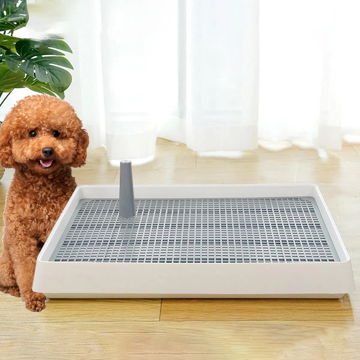 Vassoio per vasino per cani da interno - Porta del pad di addestramento per toilette per cuccioli per razze piccole e medie | Stazione durevole per pee pad per la vita di appartamenti, rottura di case