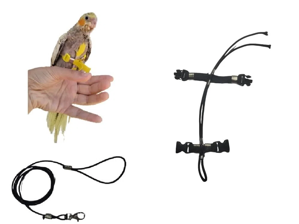 super offerta PETTORINA PAPPAGALLI MISURA calopsite corda 3mm elastica E nastro 10mm, 2 attacchi,METALLO O PLASTICA REGOLABILI GUINZAGLIO 3mm nero 1M + amuleto