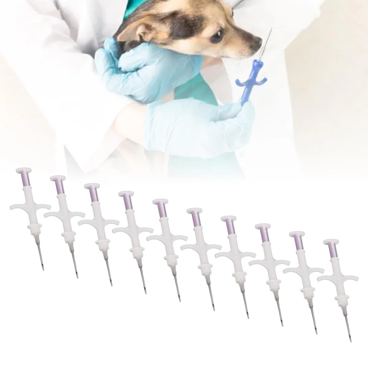 Denash Tag di Microchip per Animali Domestici 10 Pacchetti, Microchip per Animali con Codice a 15 Cifre per Cani Gatti di Bestiame di Tracciamento e Gestione dei Pesci Pollame (2,12 * 12mm)