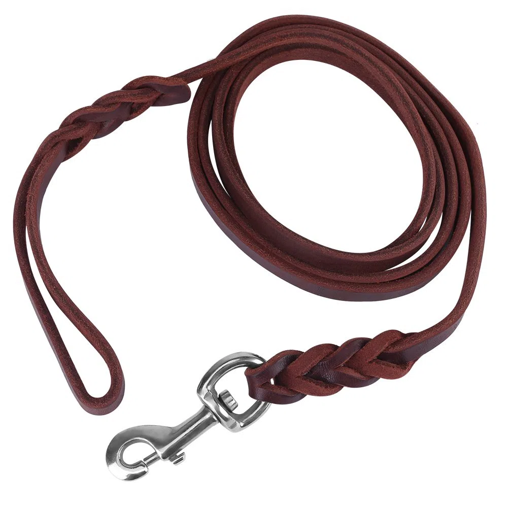 Guinzaglio Cane Per Correre a Mani Libere Per Animali Domestici Ploopy Guinzaglio Per Cani Con Elastico Da Jogging Running Dog Leash Guinzaglio Per Cani Senza Mani (1.6M)