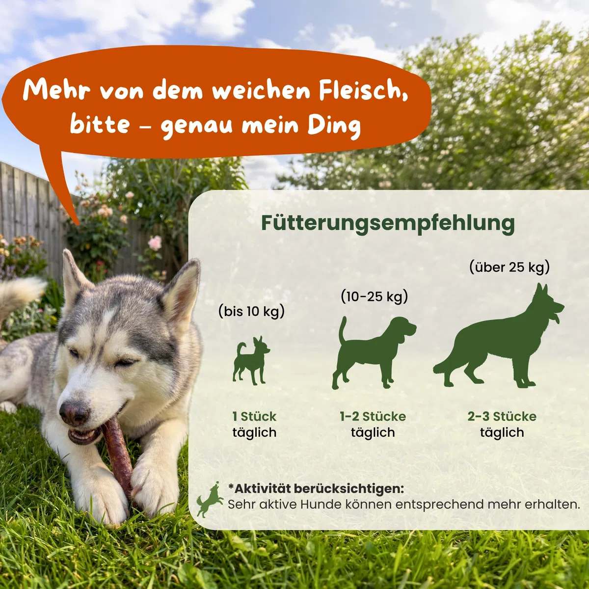 Sigari per cani in manzo – 20 pezzi (12 cm) – sigari ipoallergenici e senza cereali – monoproteina, 98% rotoli di carne muscolare – carne secca all'aria