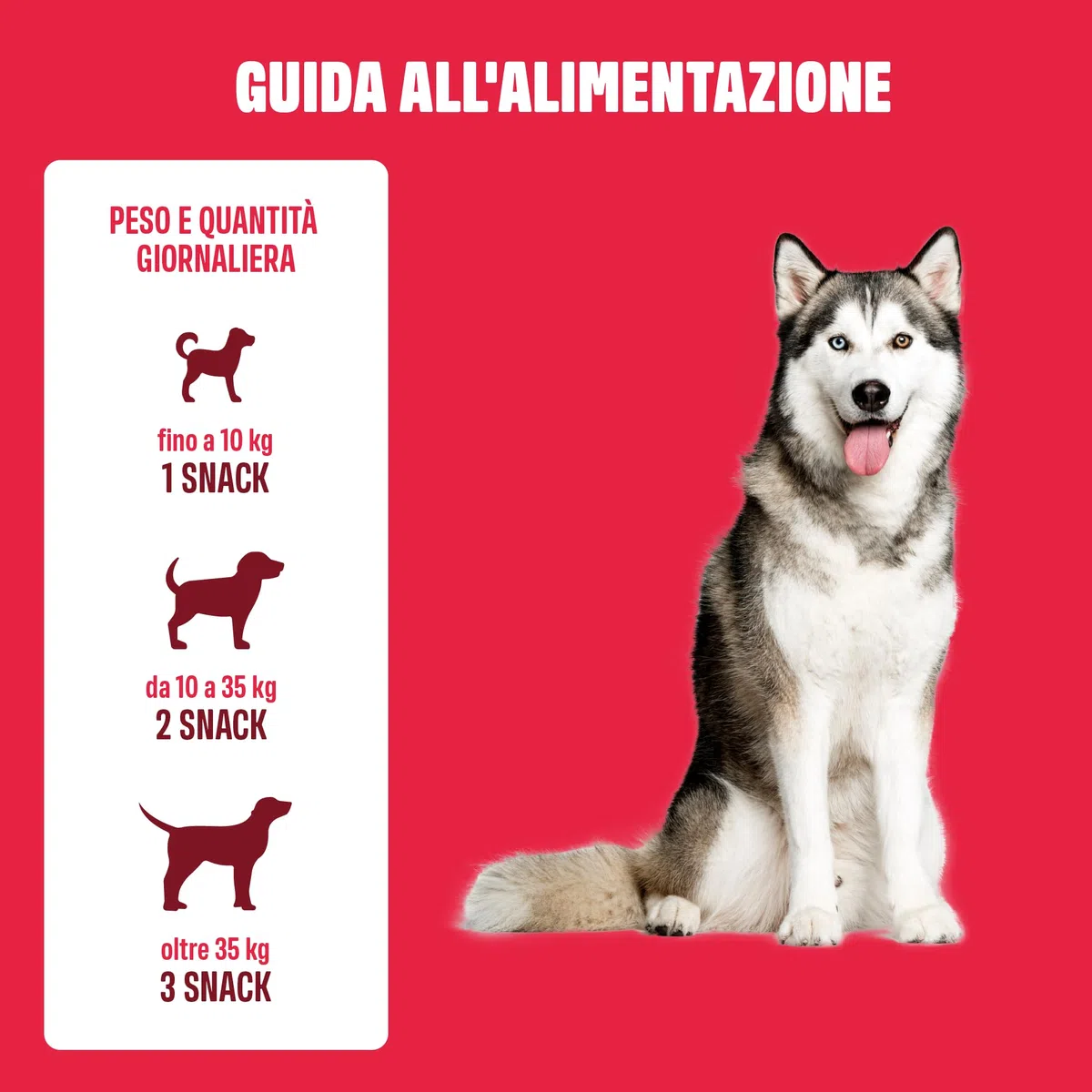 ivvi Allergy Immunity per cani – contro allergie e prurito e rafforzare il sistema immunitario – 60 deliziosi snack (270g) con salmone