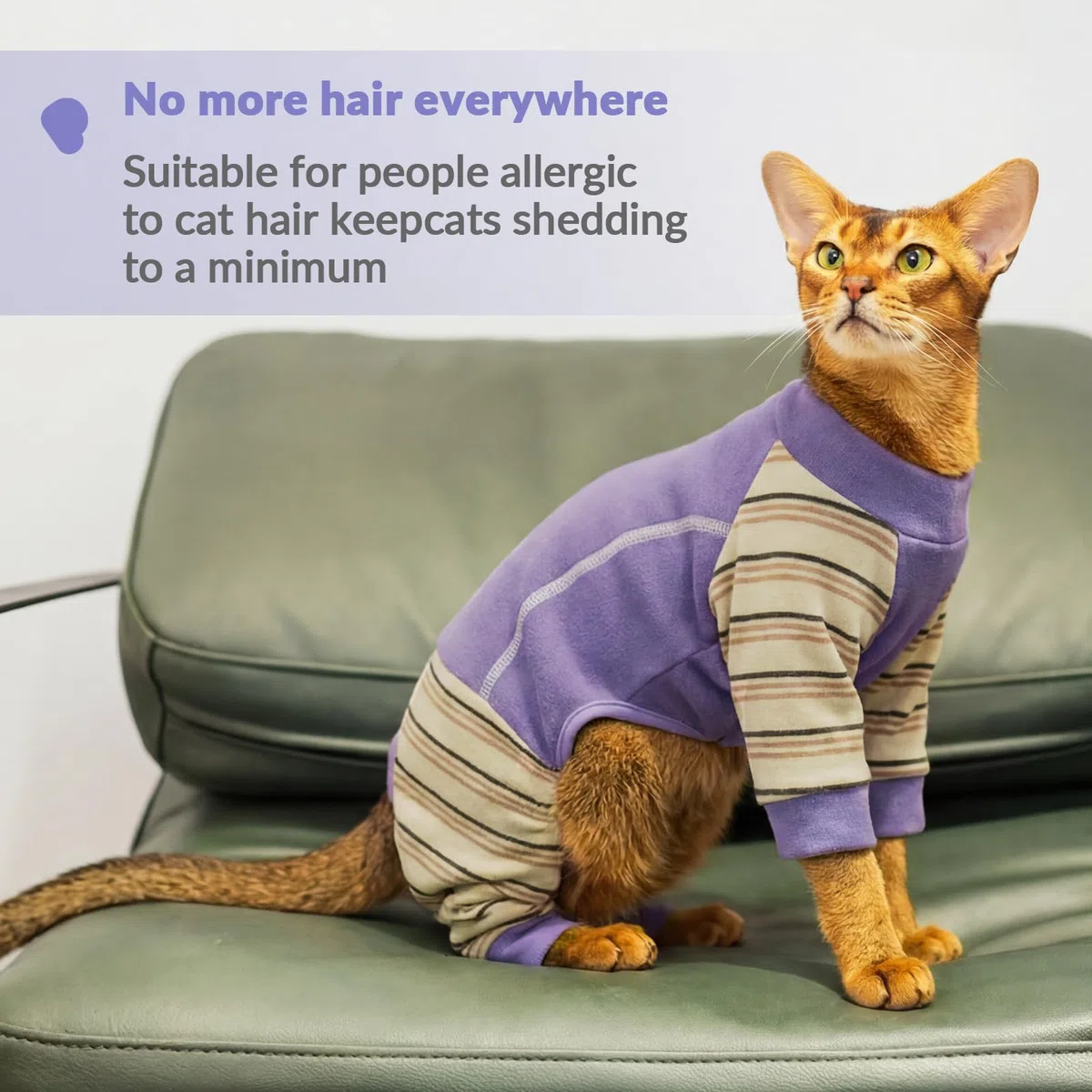 Tuta Post Operatoria Gatto, Morbido Body Gatto Post Operatorio con Manica Lunga Maglioncino per Gatto Coprire i Punti dopo l'operazione(Viola, XL)