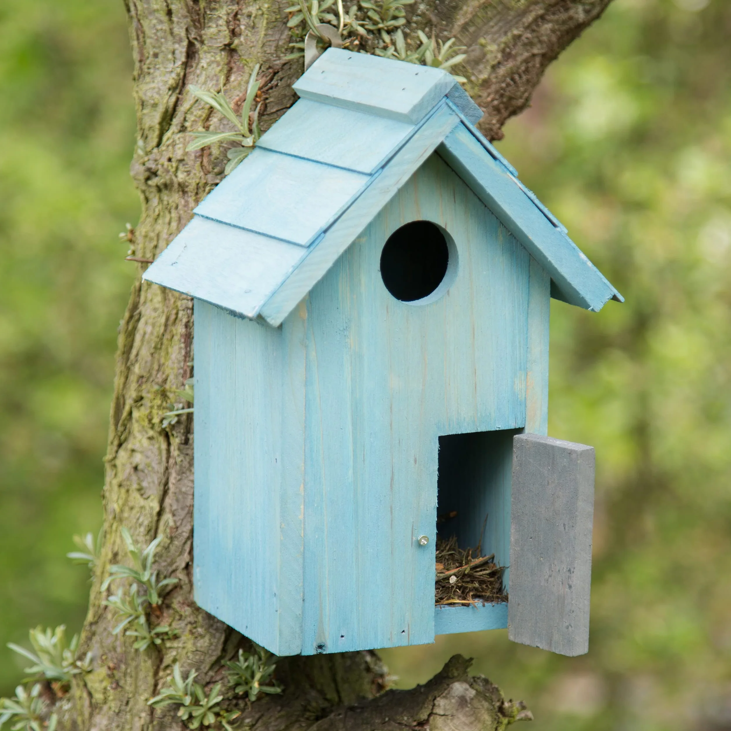 Relaxdays Nido artificiale casetta per uccellini legno, appendere, porta piccola apertura HLP: 24,3 x 17 x 12 cm, celeste