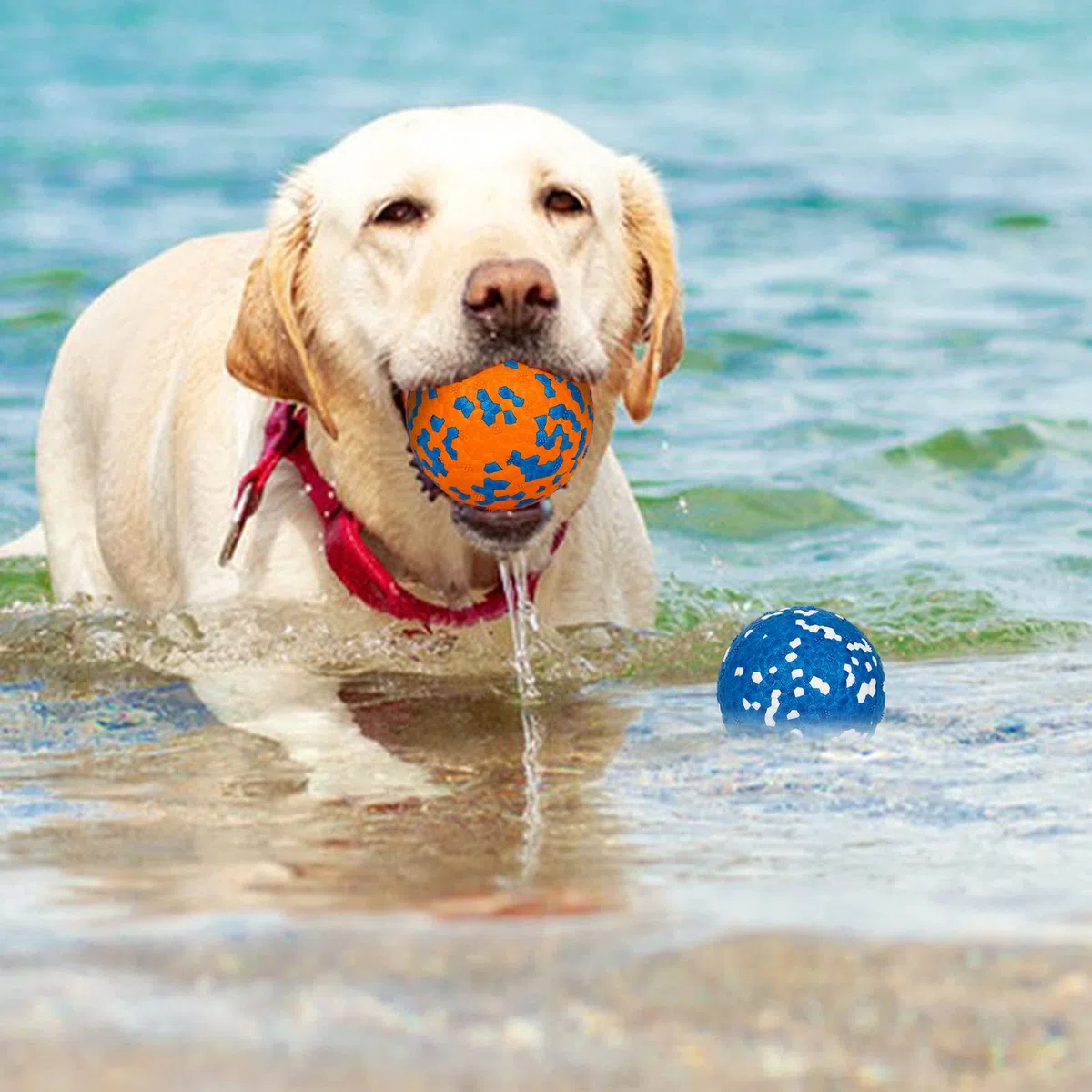 2 Pezzi Pallina per Cani Indistruttibile - Alto Rimbalzo in Gomma, Palla Interattiva Solida Giocattolo per Addestramento - Per Cani di Piccola Media Grande Taglia
