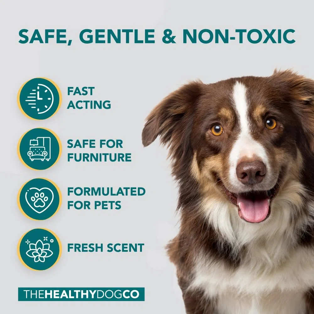 Tutto Naturale Spray Per Casa E Ambiente | 500ml | Sicuro per Cani e Gatti | Spray Repellente Perfetto per Tappeti, Letti, Mobili e in Auto