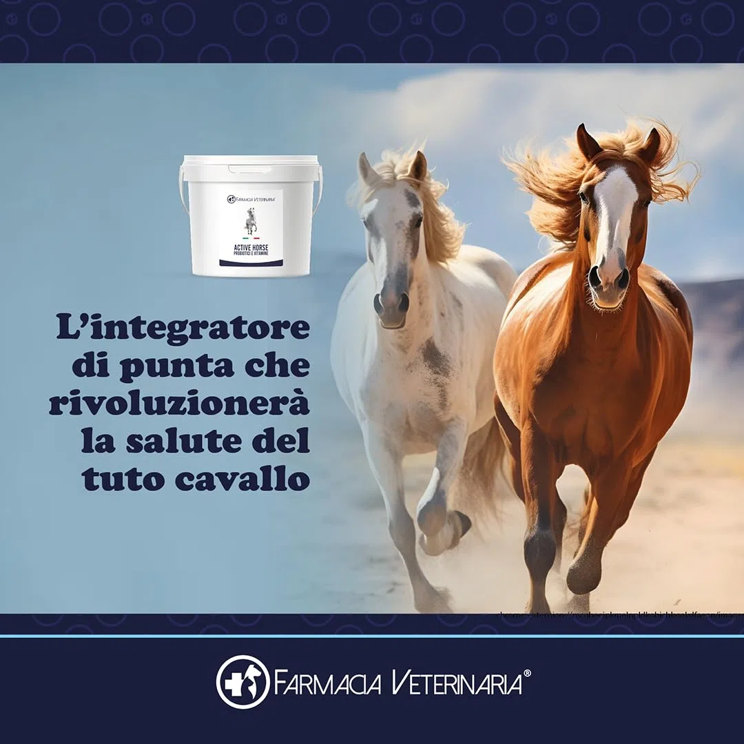 Farmacia Veterinaria Active Horse Probiotici e Vitamine. Rafforza le Difese Immunitarie e Previene Problemi Gastrointestinali. Potenzia il Metabolismo. Previene le Coliche Integratore per Cavalli 1Kg
