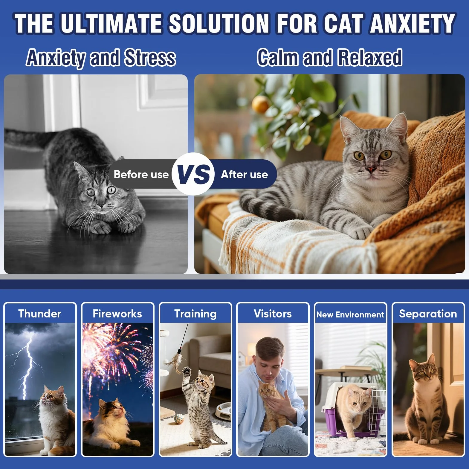 Feromoni Gatto Per Gatti Diffusore Tranquillante Di Calmante Antistress Repellente Per Gatti Irrequieti Feromoni Felini Feromoni Rilassanti E Tranquillanti Rilassanti 6x Ricariche Da 48 Ml Insapore