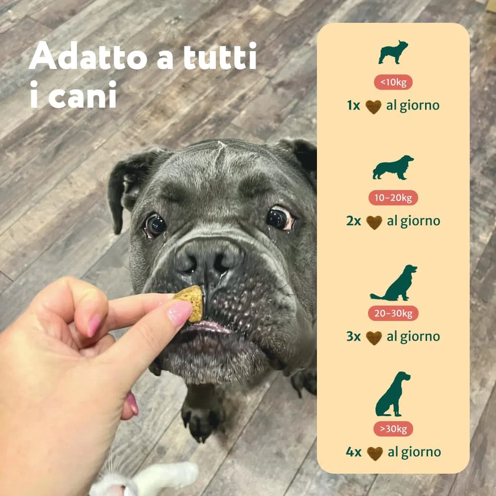 DogSuppy Sollievo Prurito Probiotici per Cani – Ferma Prurito, Grattamento, Leccamento delle Zampe, Allevia Allergie e Lieviti, 100% Naturale, Sostiene Intestino e Immunità, Carne Bovina