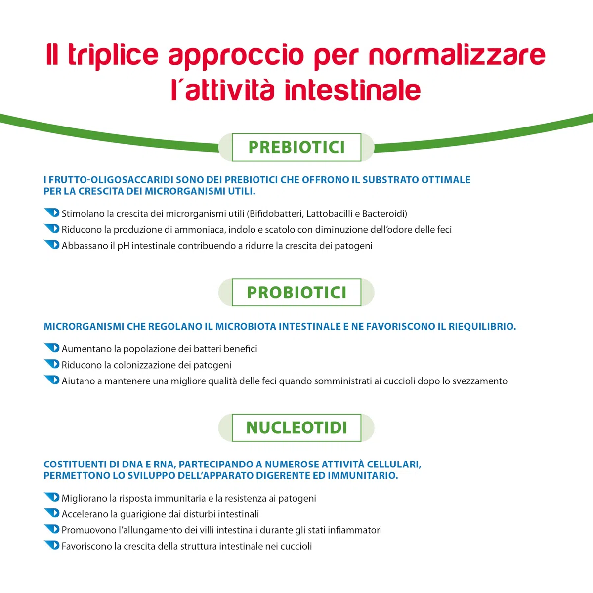 Actinorm Pro - Bioregolatore naturale della funzionalità intestinale per cani e gatti, 60 Compresse