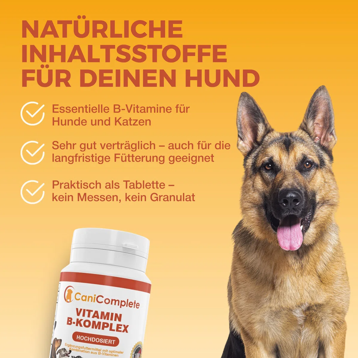 Complesso vitaminico B per cani, gatti, B1, B2, B3, B5, B6, B9, B12, K3, calcio, acido folico. Supporta funzioni nervose importanti. 120 pezzi (confezione 4 mesi)