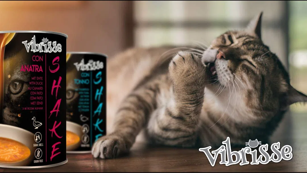 Croci Vibrisse Shake Senior - Cibo umido per gatti anziani con tonno, Cibo complementare idratante per gatti, 12 lattine x 135gr, 1620 ml
