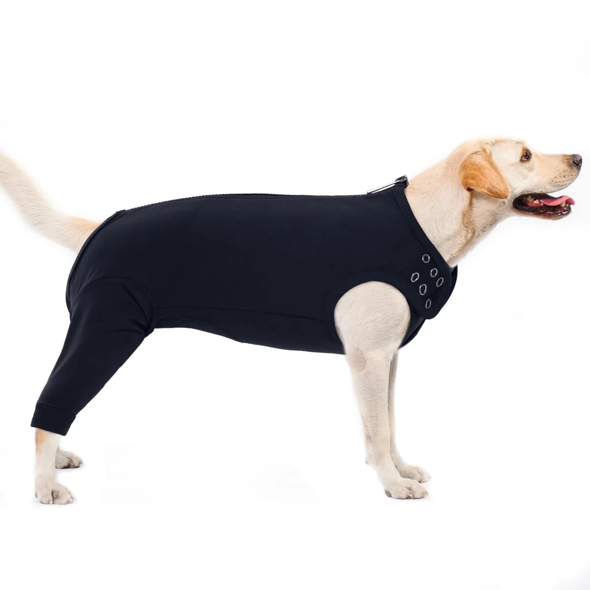 PUMYPOREITY Tuta da Recupero Cani, Body Posteriore Manica Recupero Body Chirurgico Cane Femmina Maglia Post Operazione Protettivo per Recupero Postoperatorio(Nero, XL)