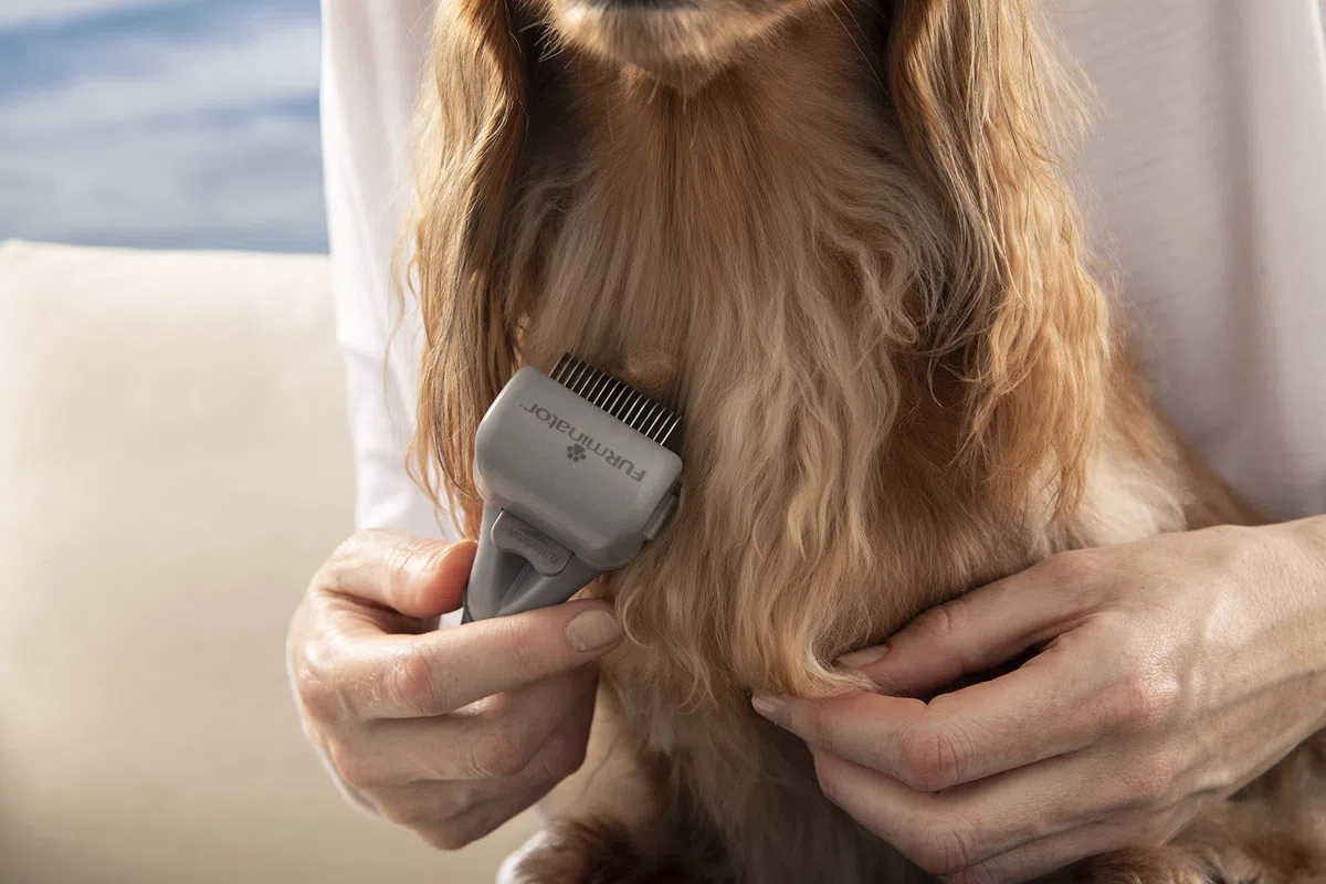 FURminator Districante regolabile per Cani e Gatti - Pettina in modo sicuro e rimuove delicatamente i nodi dal pelo