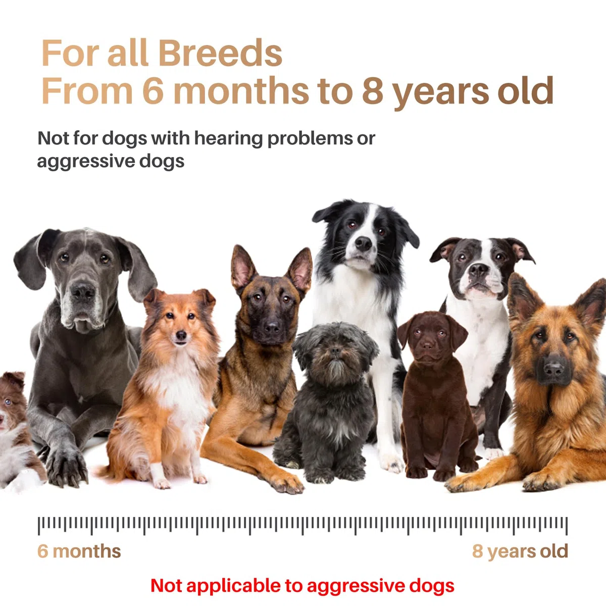 Antiabbaio per Cani, Dispositivi Antiabbaio per Cani Ultrasuoni Portatili con Doppia Frequenza, Dispositivo Antiabbaio per Cani con Portata Effettiva di 5m per Addestramento Interno ed Esterno