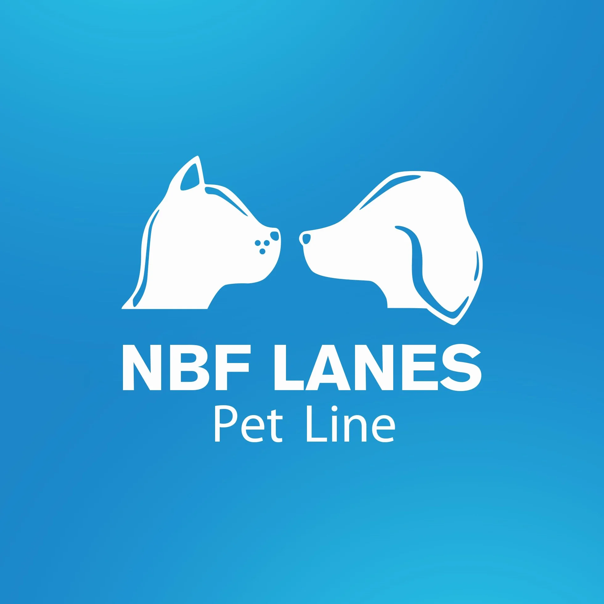 NBF LANES | Normaliver Cane e Gatto, 50 ml Sciroppo in Gel Appetibile, per la Normale Funzione Epatica