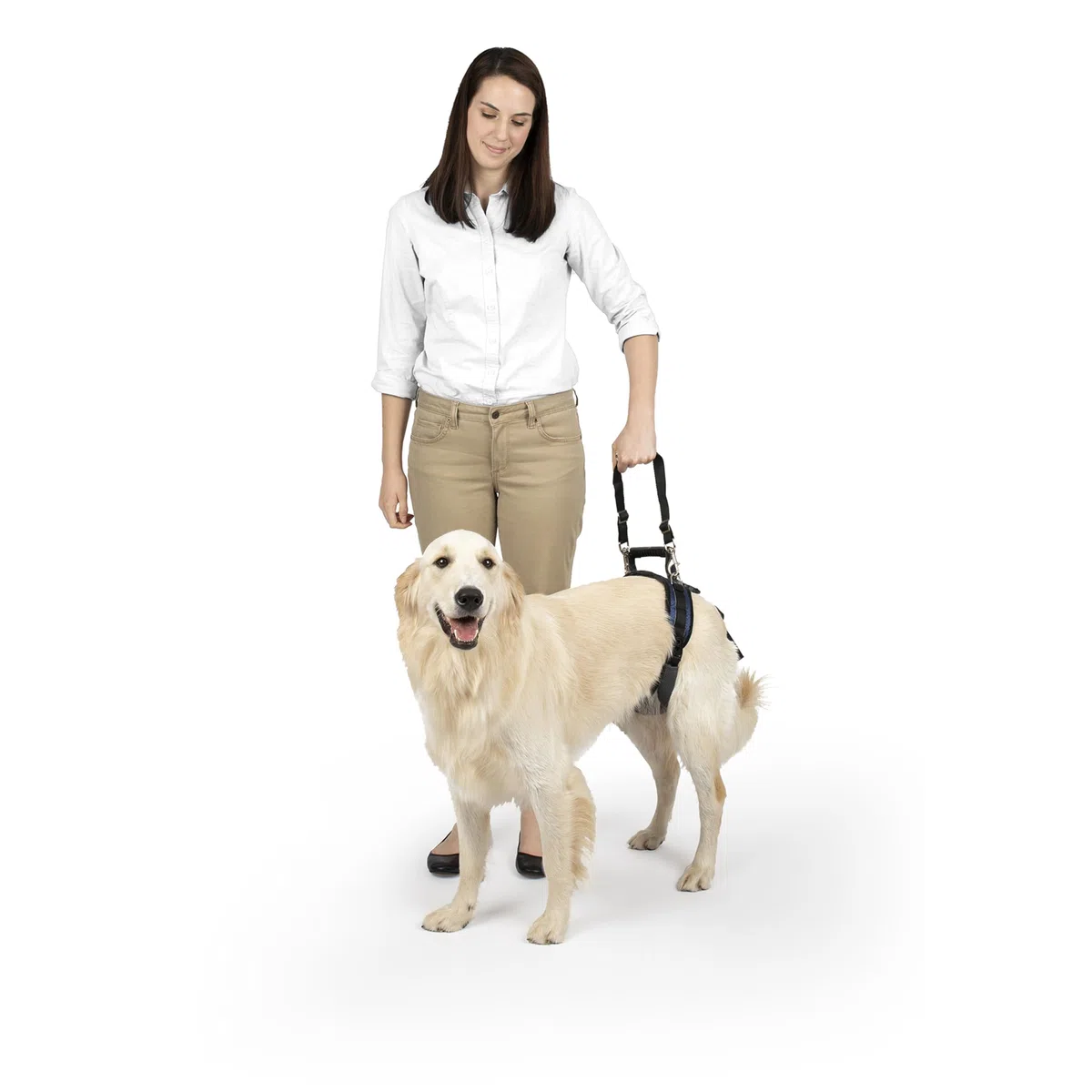 PetSafe Carelift, Pettorina di Supporto Posteriore, Ausilio per Il Sollevamento con Impugnatura e Spallaccio, Adatto a Cani Disabili o Anziani, Comodo, Traspirante, Facile da Regolare, L