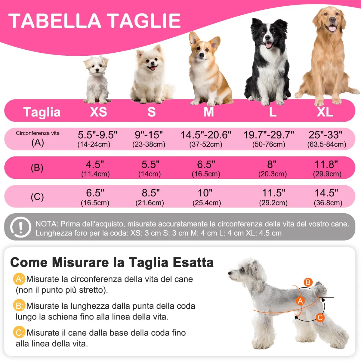 Mutandine Cane Femmina Calore Lavabili S (3 Pezzi), Assorbenti per Cani e Gatti, Pannolini da Ciclo per Femmine Cani