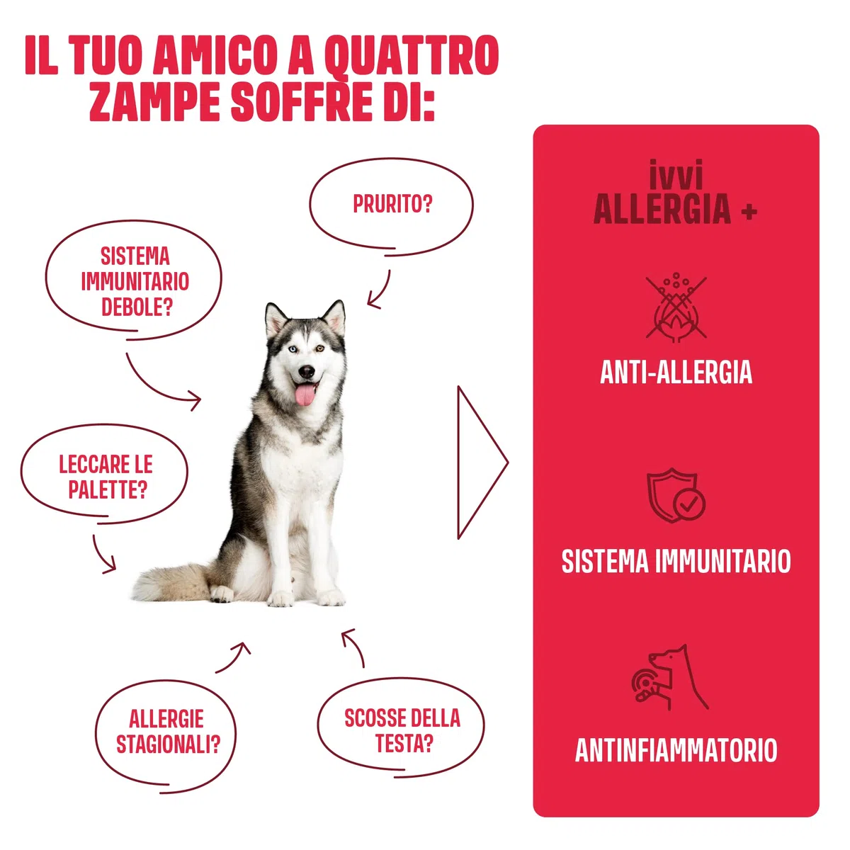 ivvi Allergy Immunity per cani – contro allergie e prurito e rafforzare il sistema immunitario – 60 deliziosi snack (270g) con salmone