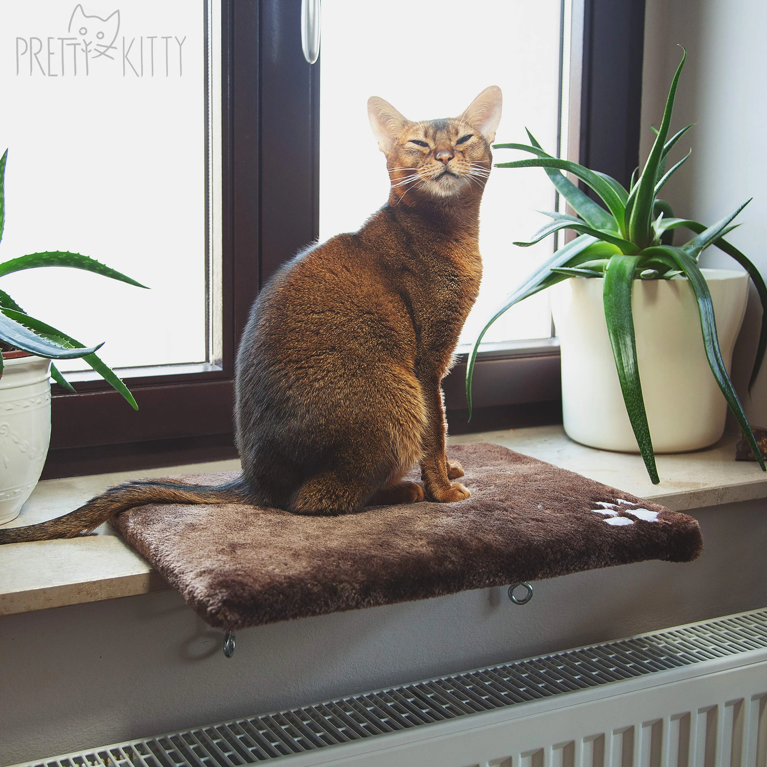 Pretty Kitty Letto da Finestra da Davanzale Coccolone Per Gatti, Il Letto Di Gatto Premium Soffice Per La Finestra - Lavabile, Gatto Da Banco Da Davanzali - Accessori Per Gatti Inclusi - 32x41 cm