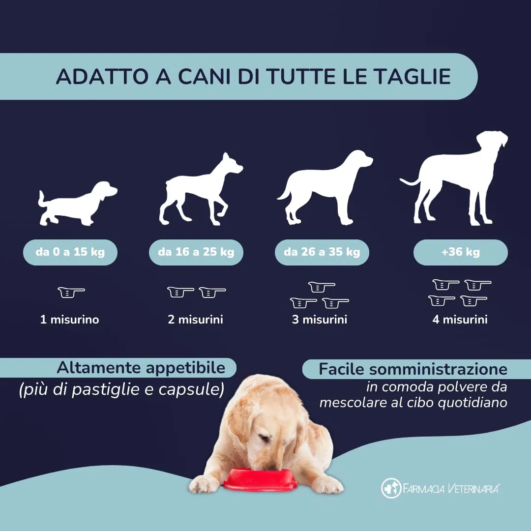 Farmacia Veterinaria Artiflex Integratore Cane Articolazioni in Polvere 500g - Condroprotettori Cane con Condroitina, Glucosamina, MSM, Vitamina C - Made in Italy