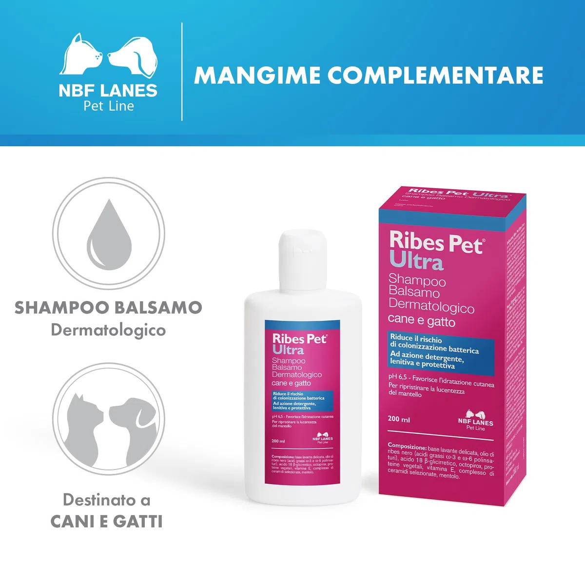 NBF Lanes | Ribes Pet Ultra Shampoo Balsamo Dermatologico Cane e Gatto 200 ml, Riduce il Rischio di Colonizzazione Batterica, ad Azione Detergente, Lenitiva e Protettiva, pH 6,5