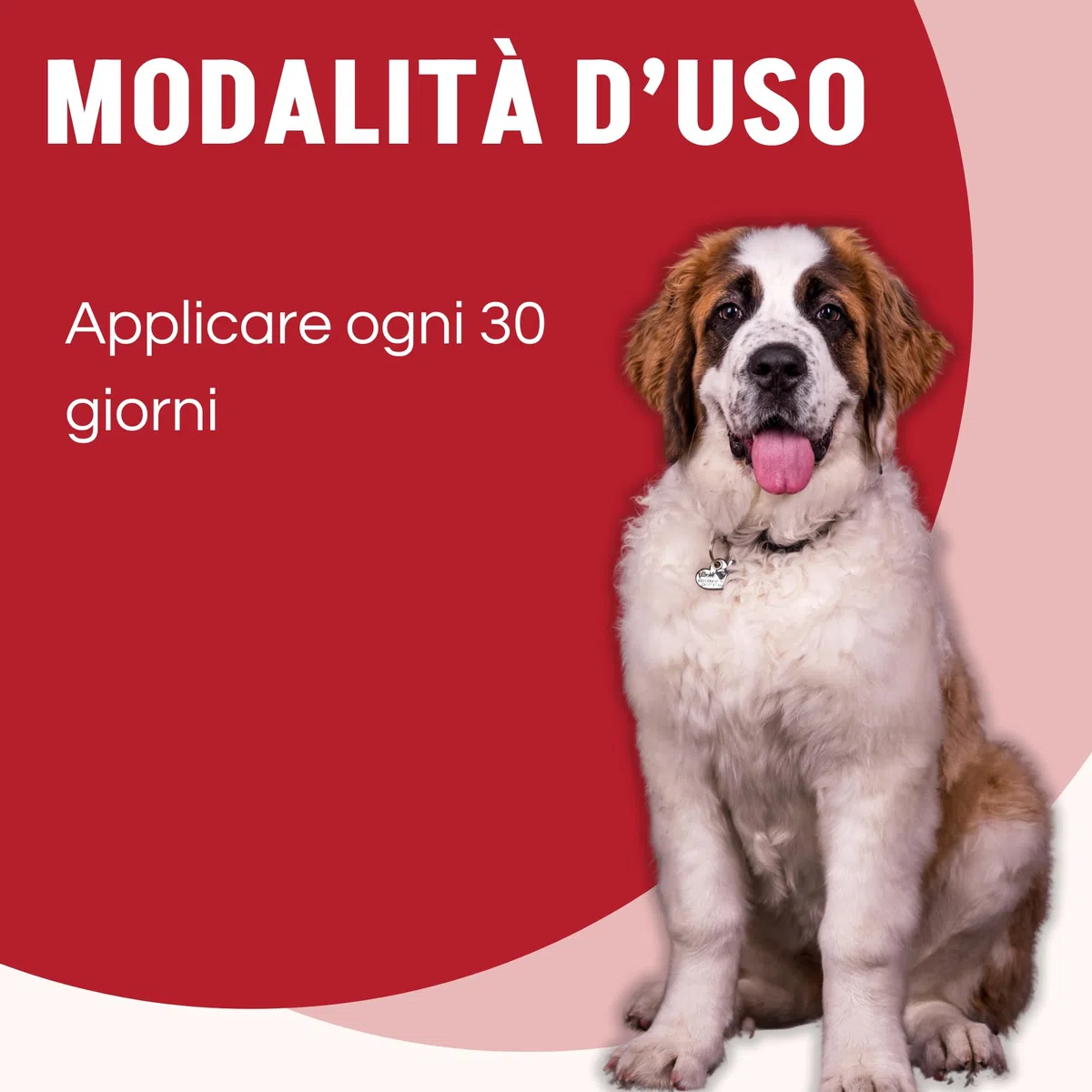 Pestigon Spot-On Pipette Antiparassitario Cani XL (40-60 kg) - Elimina Pulci e Zecche - Protezione 4 Settimane - Facile Applicazione - Antipulci e Antizecche Cane