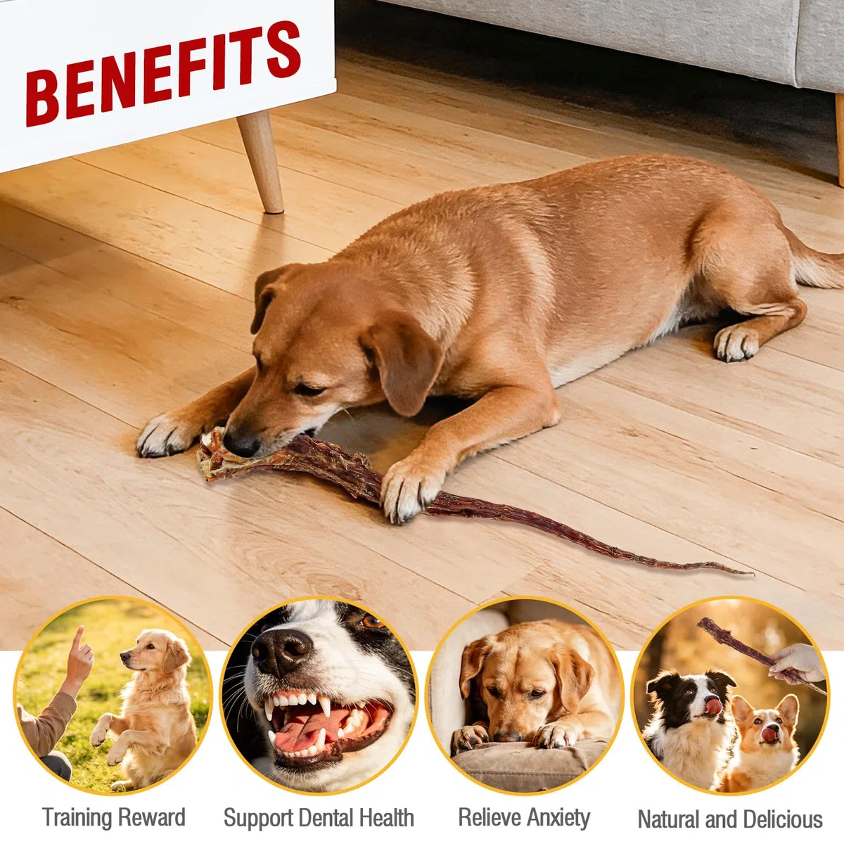 Buoni di coda di manzo naturali per cani - masticare dentale di lunga durata, senza pelle cruda e digeribile cane munge, manzo a base di erba con ingrediente unico (125g)