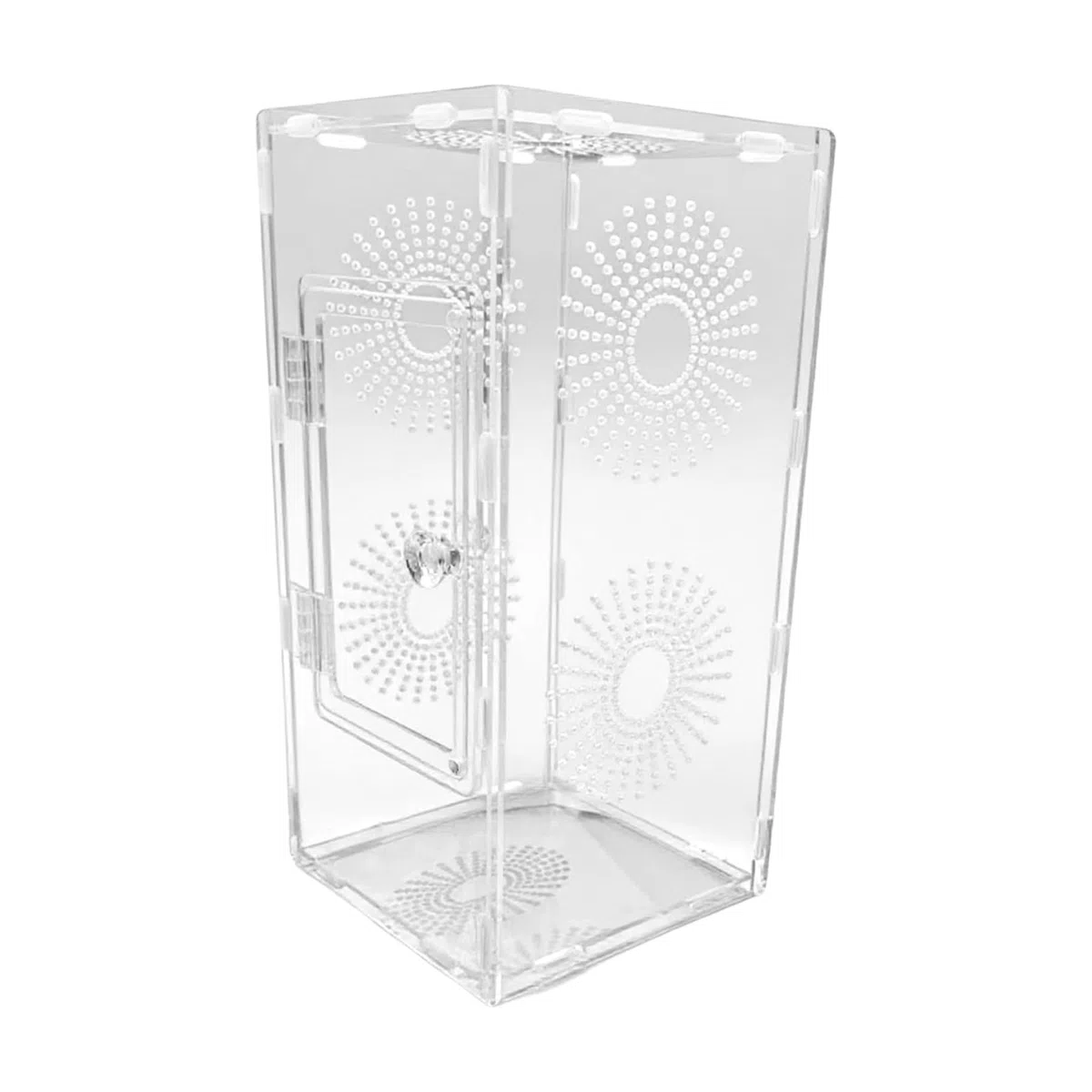 Habitat per ragni che saltano, terrario per piccoli rettili, 30 x 15 x 15 cm, recinzione completamente trasparente, design ventilato sicuro, dimensioni compatte, ideale per bambini, adulti