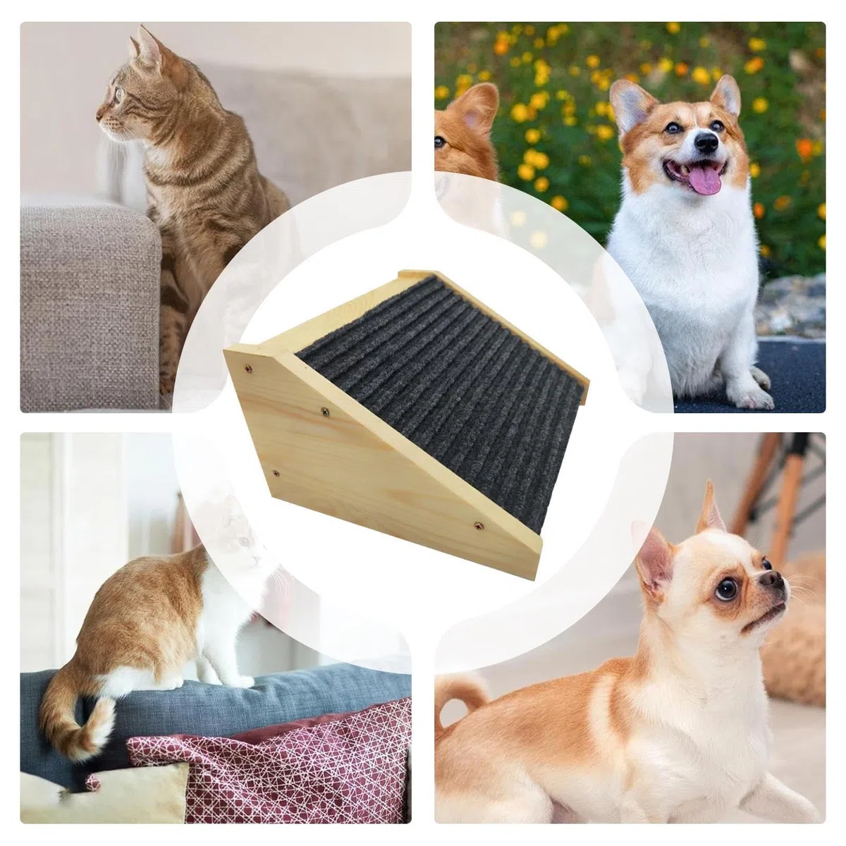 Rampa Per Cani Per Divano | Scalini Per Animali Domestici,Gradini Sicuri Portatili Per Animali Domestici Anziani E Feriti Gatti Per Interni Casa Divano Sofà Letto Soggiorno Camera Da